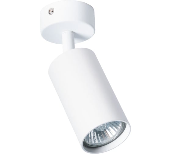 Потолочный светильник Arte Lamp AQUARIUS A3216PL-1WH