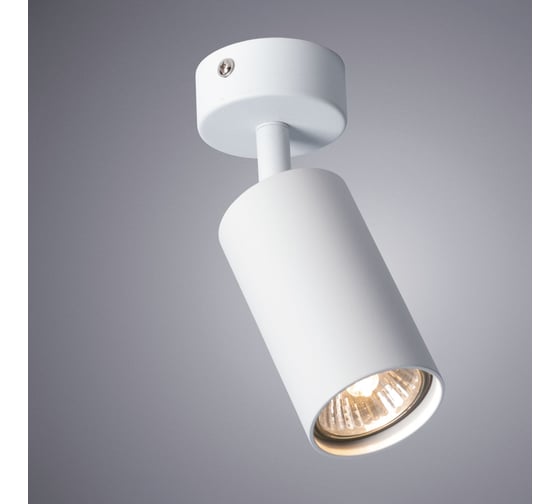 Потолочный светильник Arte Lamp AQUARIUS A3216PL-1WH