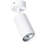 Потолочный светильник Arte Lamp AQUARIUS A3216PL-1WH 1
