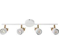 Спот Arte Lamp ALMACH A1906PL-4WH