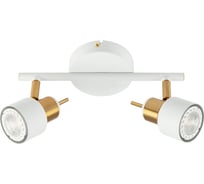 Спот Arte Lamp ALMACH A1906PL-2WH