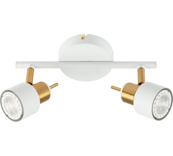 Спот Arte Lamp ALMACH A1906PL-2WH 1