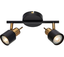 Спот Arte Lamp ALMACH A1906PL-2BK