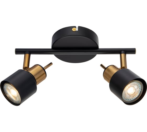 Спот Arte Lamp ALMACH A1906PL-2BK 1