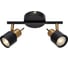Спот Arte Lamp ALMACH A1906PL-2BK 1