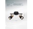 Спот Arte Lamp ALMACH A1906PL-2BK 3