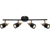 Спот Arte Lamp ALMACH A1906PL-4BK