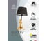 Настольная лампа Arte Lamp GUSTAV A4420LT-1GO 2