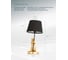 Настольная лампа Arte Lamp GUSTAV A4420LT-1GO 3
