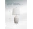 Настольная лампа Arte Lamp TWILLY A4237LT-1GY 3