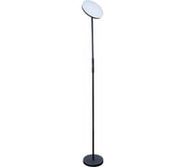 Торшер Arte Lamp SCEPTRUM A1822PN-1BK