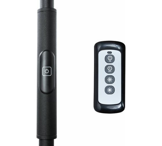 Торшер Arte Lamp SCEPTRUM A1822PN-1BK