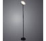 Торшер Arte Lamp SCEPTRUM A1822PN-1BK 2