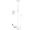 Торшер Arte Lamp SCEPTRUM A1822PN-1BK 5