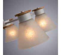 Потолочная люстра Arte Lamp TYLER A1031PL-5WH