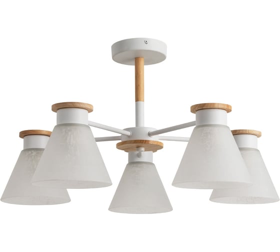 Потолочная люстра Arte Lamp TYLER A1031PL-5WH