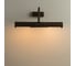 Подсветка для картин Arte Lamp PICTURE LIGHTS LUX A5075AP-2BR 2