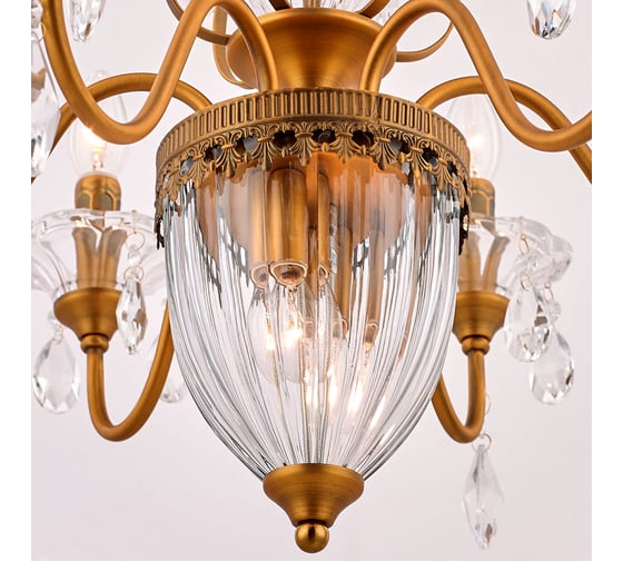Подвесная люстра Arte Lamp SCHELENBERG A4410LM-6-2SR