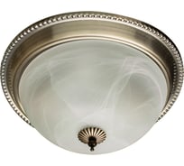 Потолочный светильник Arte Lamp PORCH A1305PL-2AB