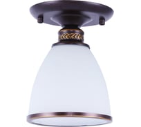 Потолочный светильник Arte Lamp BONITO A9518PL-1BA