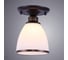 Потолочный светильник Arte Lamp BONITO A9518PL-1BA 2