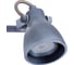 Спот Arte Lamp GOTTO A9189AP-2GY 3
