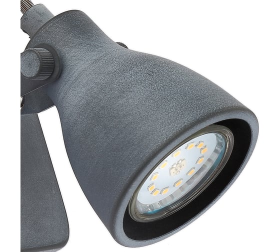 Спот Arte Lamp GOTTO A9189AP-1GY