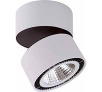 Потолочный светодиодный светильник Lightstar 213859