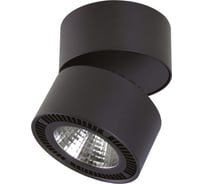 Потолочный светодиодный светильник Lightstar 213837