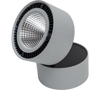 Потолочный светодиодный светильник Lightstar 214859