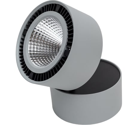 Потолочный светодиодный светильник Lightstar 214859