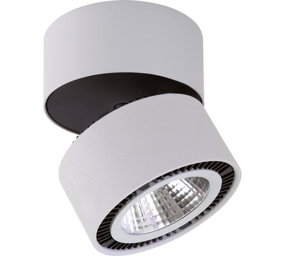 Потолочный светодиодный светильник Lightstar 213830