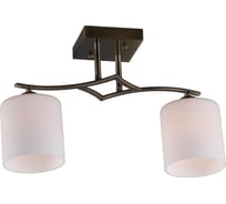 Потолочная люстра Omnilux OML-55317-02