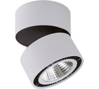 Потолочный светодиодный светильник Lightstar 213839