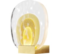 Настенный светильник (бра) MAYTONI Biology Латунь MOD367WL-L3BSK