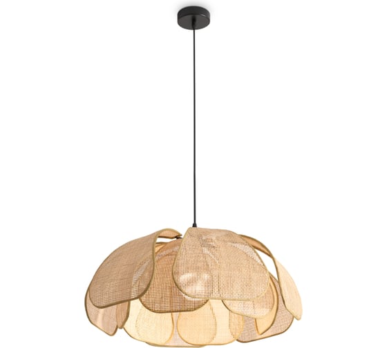 Подвесной светильник Freya Cocoon Черный FR5529PL-01B