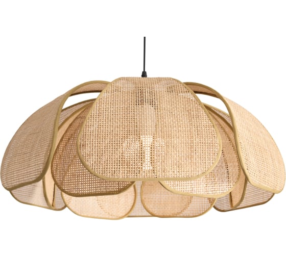 Подвесной светильник Freya Cocoon Черный FR5529PL-01B