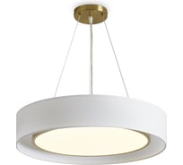 Подвесной светильник Freya Cozy Латунь FR6170PL-L52BS