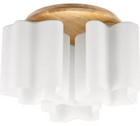 Потолочная люстра Lightstar 802035