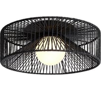 Потолочный светильник Freya Cottage черный FR5405CL-01B