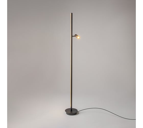 Напольный светильник (торшер) MAYTONI Thin Черный MOD395FL-L28B3K