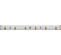 Светодиодная лента MAYTONI Ultra 24В 2835 4,8Вт/м 6000К 5м IP 20 201011