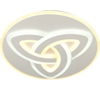 Потолочная светодиодная люстра Omnilux OML-09117-146