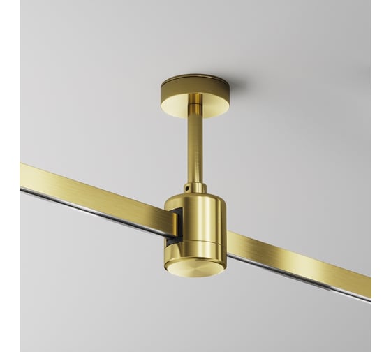Крепление потолочное MAYTONI Short 78мм с прямым коннектором питания латунь FLARITY TRA156C-IPC1-BS 1