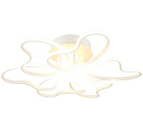 Потолочная светодиодная люстра Omnilux OML-04307-102