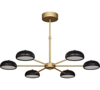 Подвесная светодиодная люстра F-promo 2501-6P