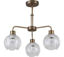 Потолочная люстра F-promo 2192-3P