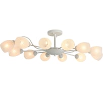 Потолочная люстра F-promo 2266-12U