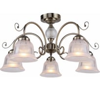 Потолочная люстра F-promo 2194-5U