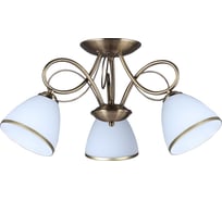 Потолочная люстра Omnilux OML-25307-03